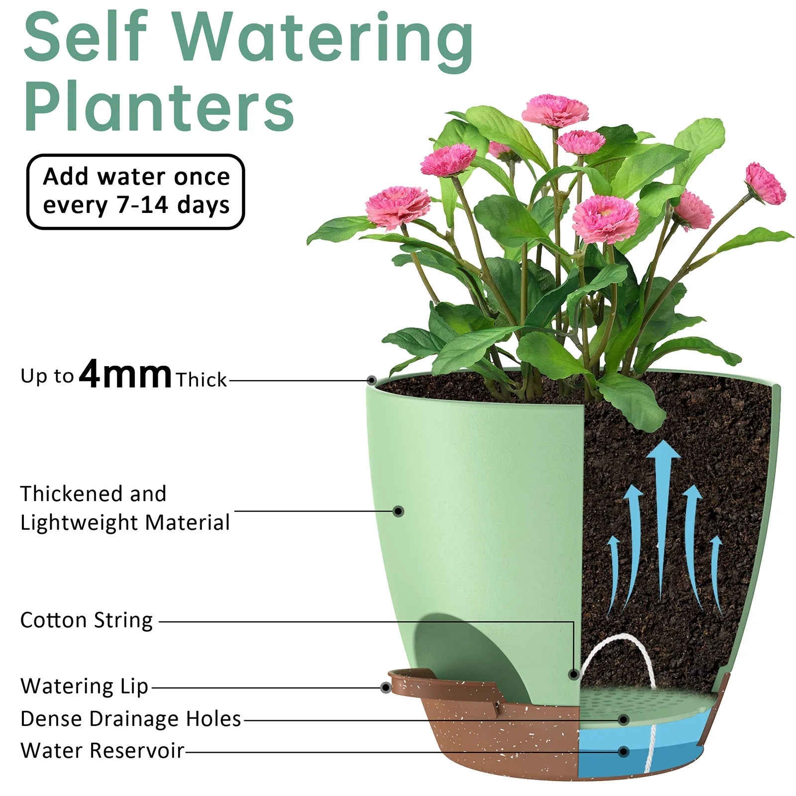 5 Pack Self Watering Plant Pots, Plastic Planters with Drainage Holes and Saucers, Flower Pots for Indoor Outdoor Garden Plants, 7/6.5/6/5.5/5 Inch（Green）